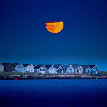 Bub Lane Cottage Христчёрч Экстерьер фото